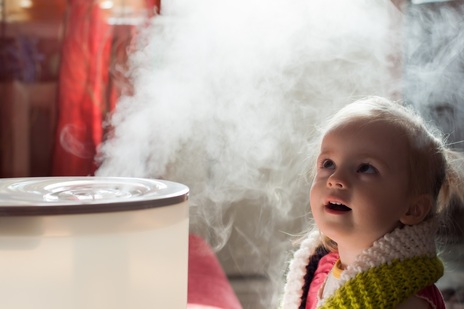 Humidifier in Mesa, AZ